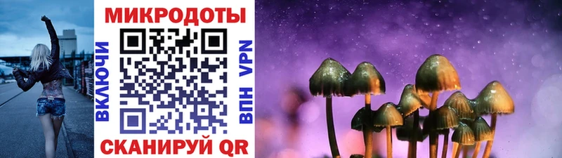 купить наркотик  Чудово  Галлюциногенные грибы прущие грибы 